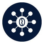 Fully Decentralized Network
